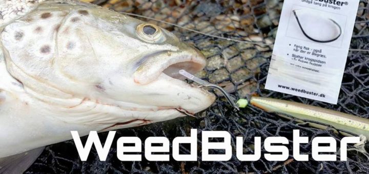 Weedbuster og slip for ålegræs